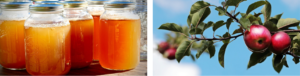 Read more about the article Boost Your Energy with Apple Cider Vinegar